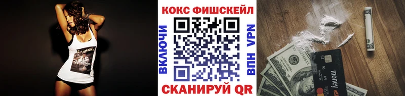 Cocaine FishScale  купить наркотики сайты  Чегем 