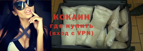 индика Медногорск