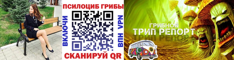 Псилоцибиновые грибы Psilocybine cubensis  хочу   Чегем 